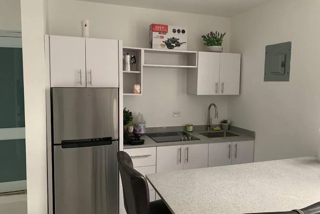 Isla Verde Oasis Ph With Private Terrace, Kingbed, Wifi, Pk Apartment San Juan